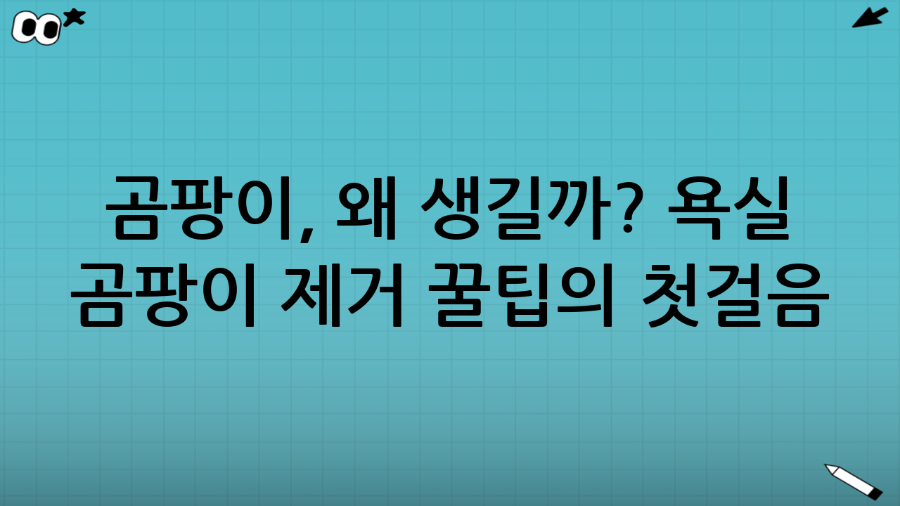 곰팡이, 왜 생길까? 욕실 곰팡이 제거 꿀팁의 첫걸음