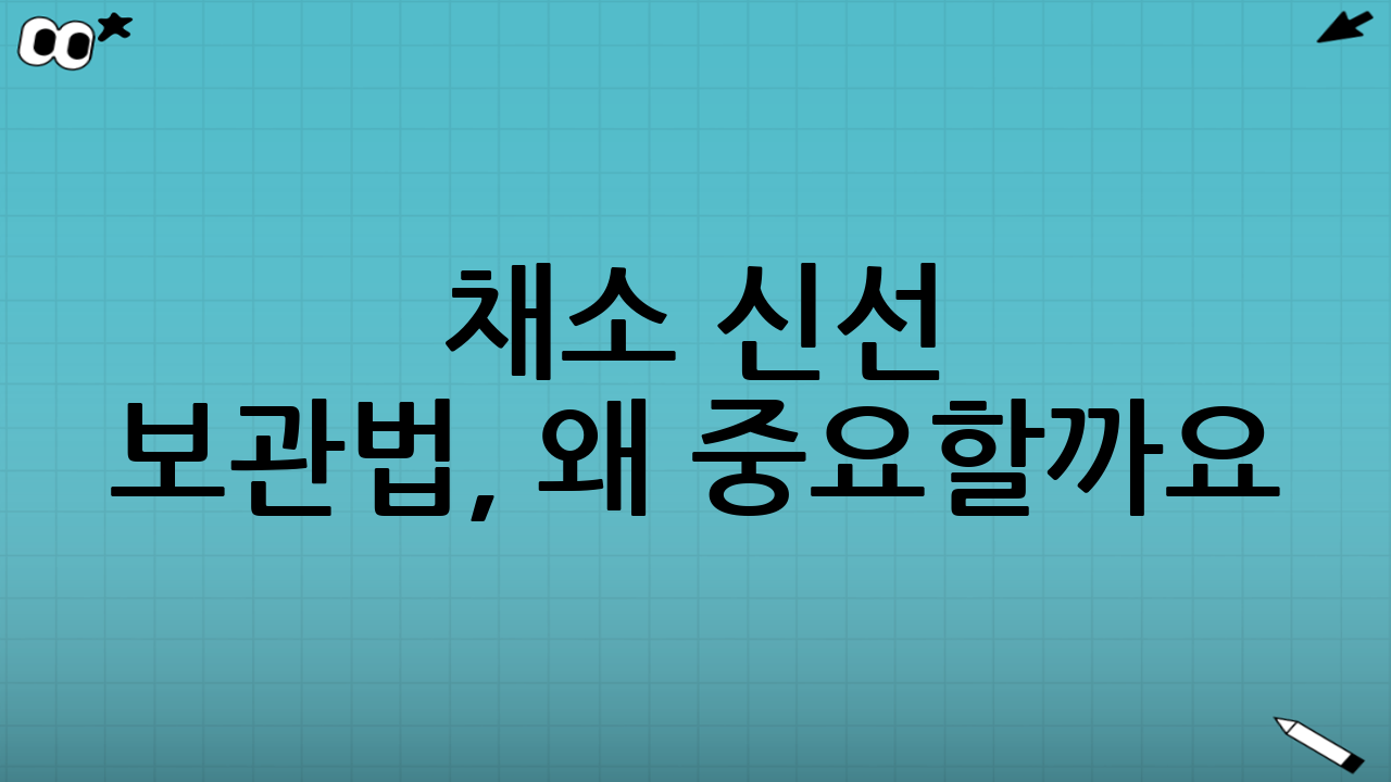 채소 신선 보관법, 왜 중요할까요?
