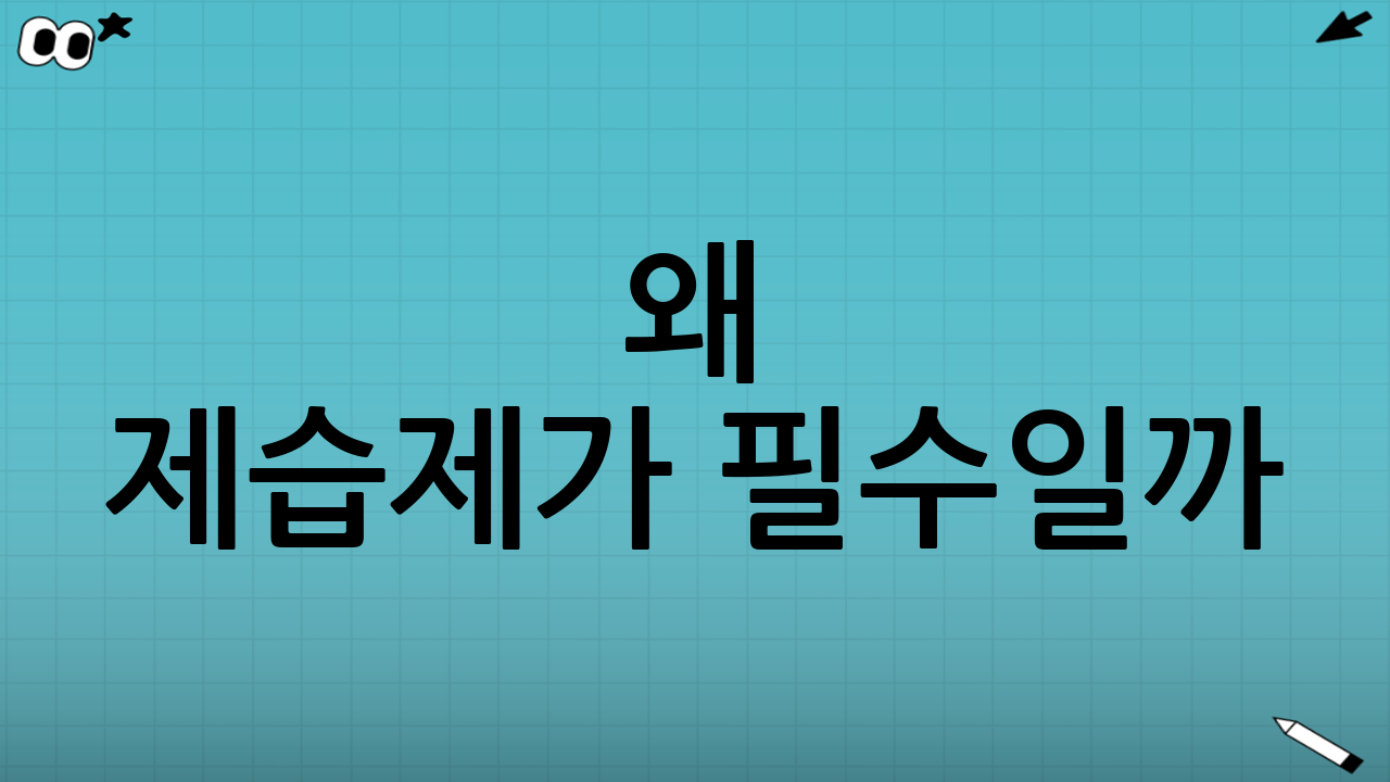왜 제습제가 필수일까? 2025년 한국의 습한 환경과 제습제 선택·교체 시기의 중요성