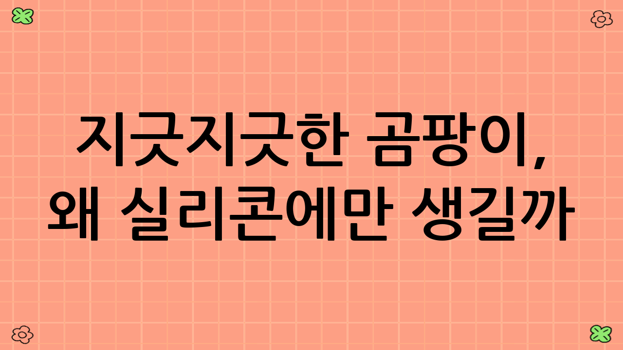 지긋지긋한 곰팡이, 왜 실리콘에만 생길까? (문제 진단)