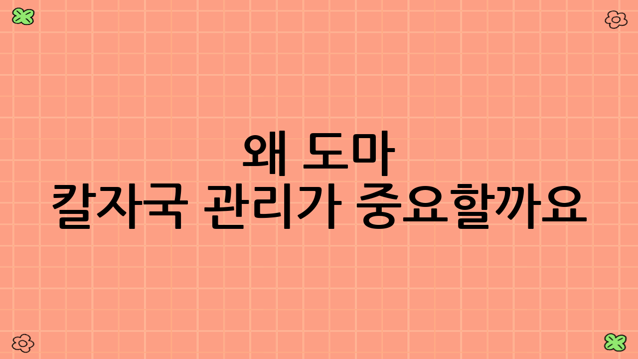 왜 도마 칼자국 관리가 중요할까요? 세균 번식의 위험성