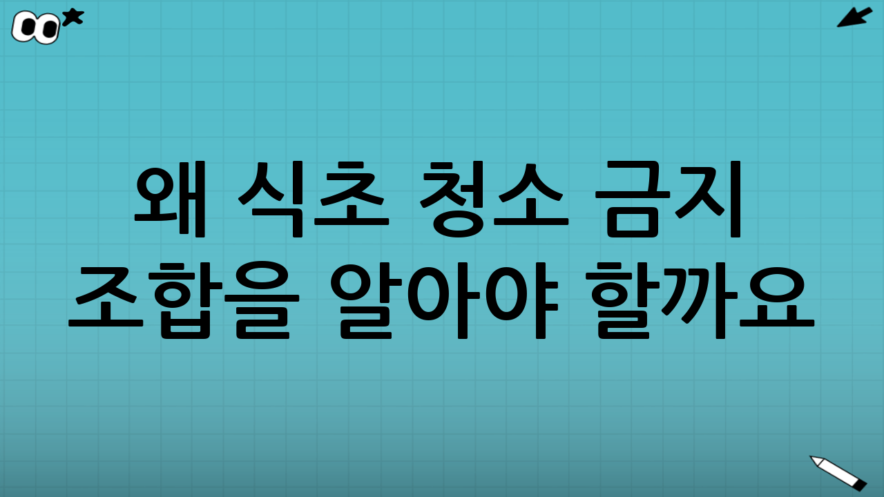 왜 식초 청소 금지 조합을 알아야 할까요?
