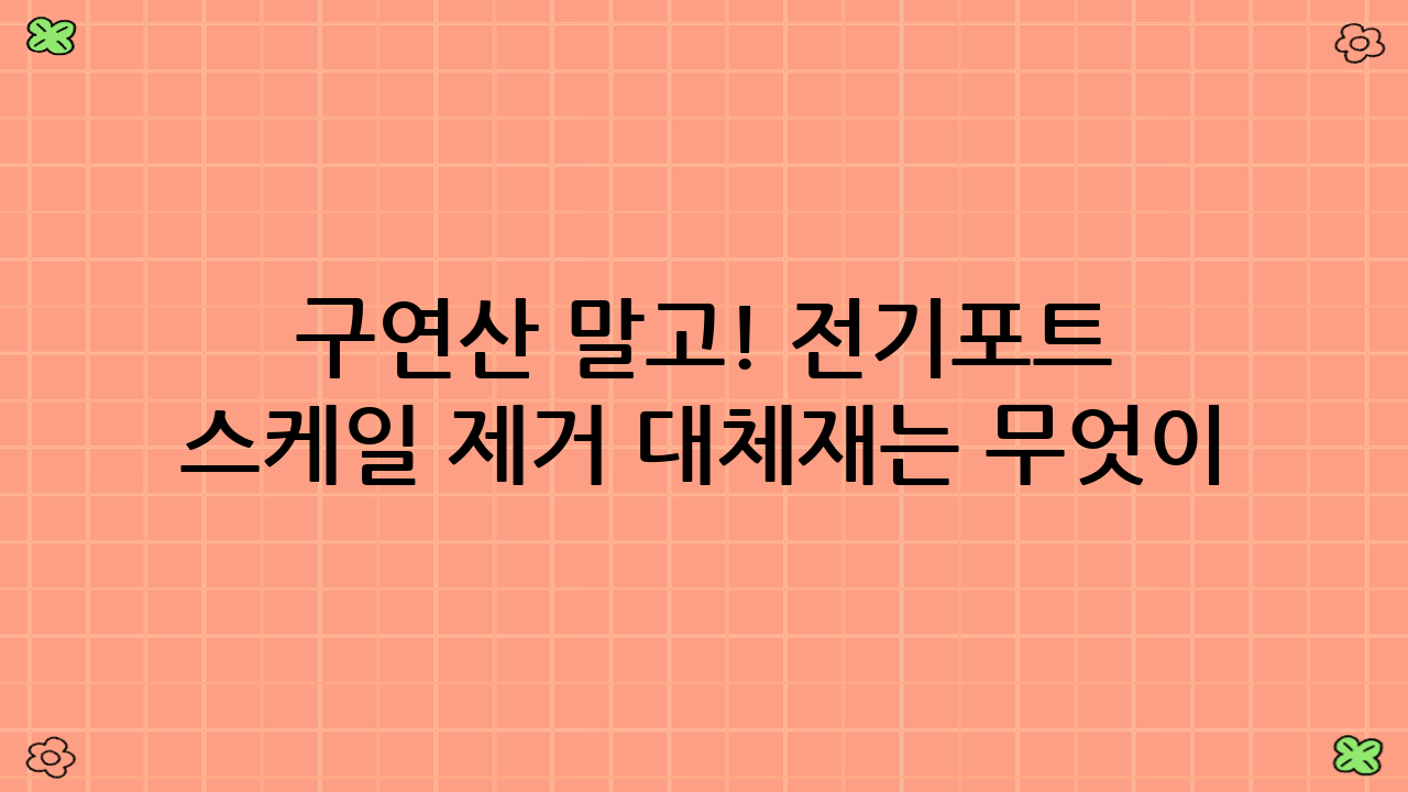 구연산 말고! 전기포트 스케일 제거 대체재는 무엇이 있을까?