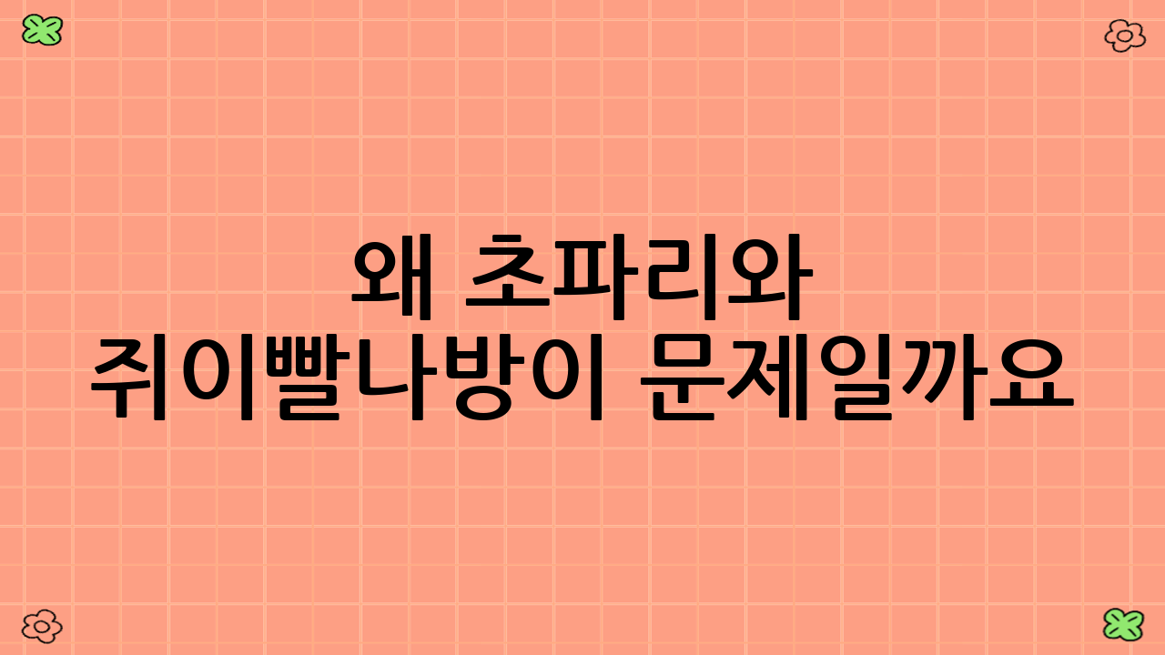 왜 초파리와 쥐이빨나방이 문제일까요?