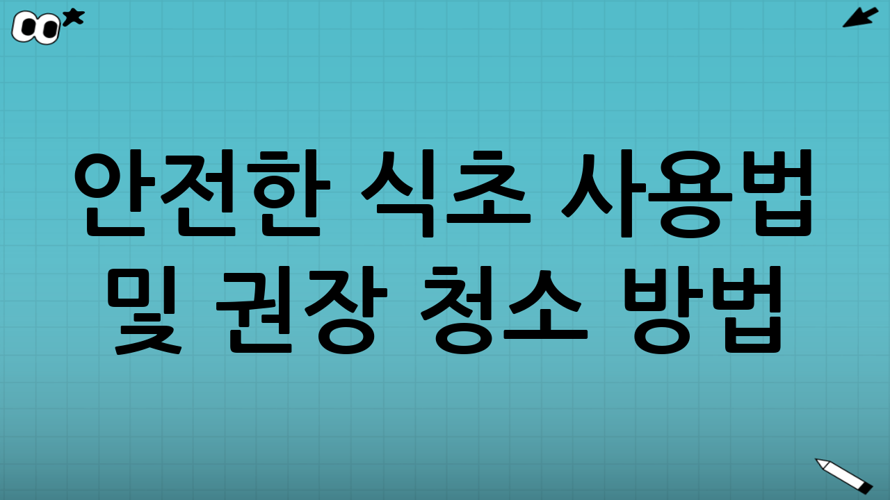 안전한 식초 사용법 및 권장 청소 방법