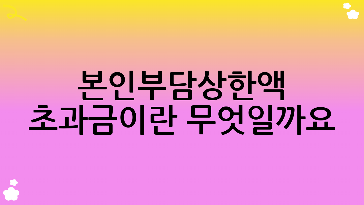 본인부담상한액 초과금이란 무엇일까요?