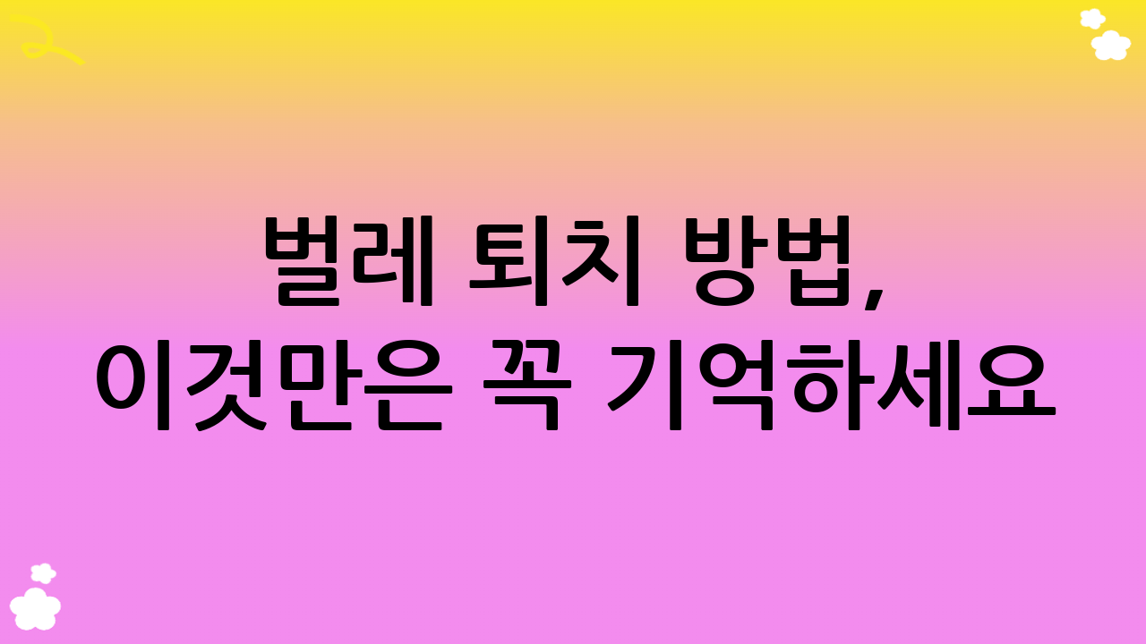 벌레 퇴치 방법, 이것만은 꼭 기억하세요! (주의사항 및 팁)