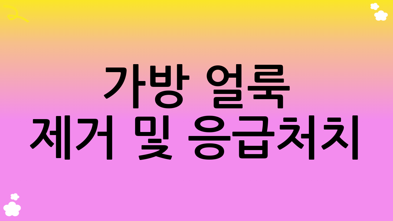 가방 얼룩 제거 및 응급처치: 시간이 생명입니다