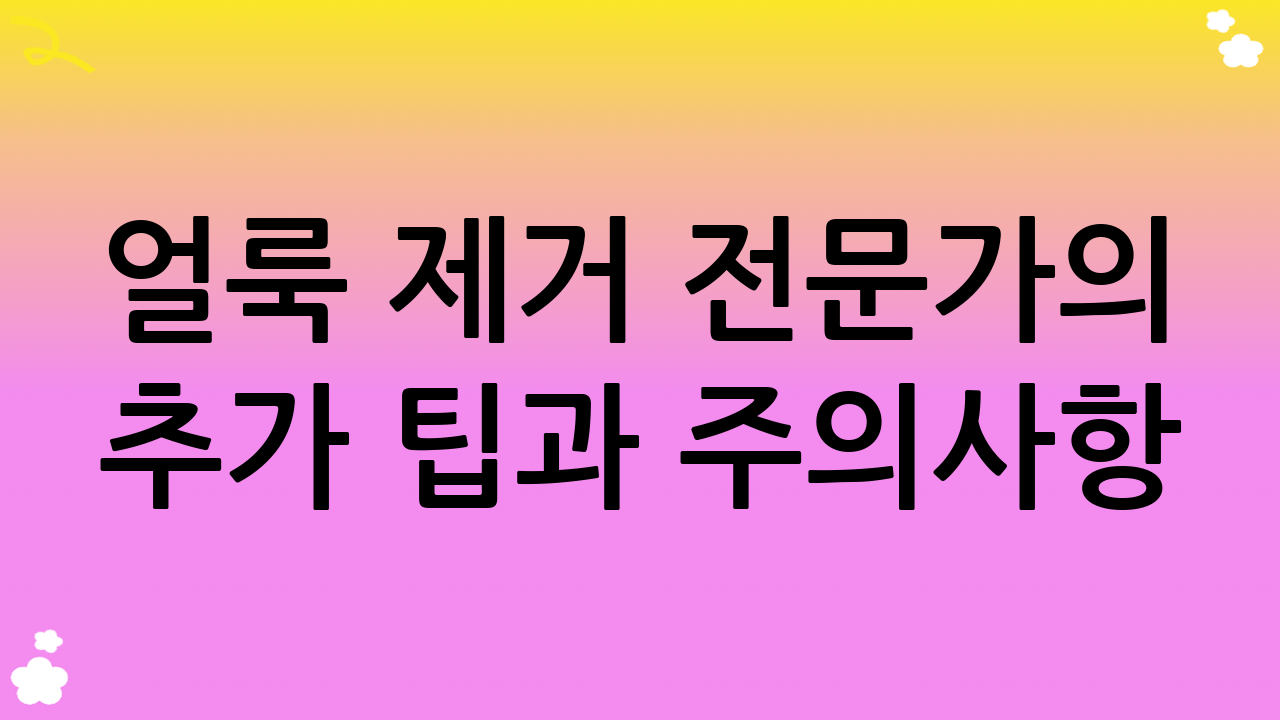 얼룩 제거 전문가의 추가 팁과 주의사항